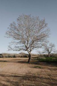 Carma-Family-Compagne-Perinatal-Pharmacienne-Holistique-Accompagnements-Forfait-En-toute-conscience