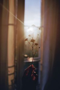 Carma-Family-Compagne-Perinatal-Pharmacienne-Holistique-Accompagnements-Forfait-En-toute-sérénité