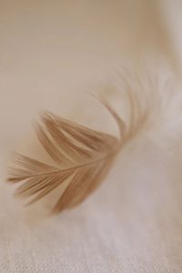 Carma-Family-Compagne-Perinatal-Pharmacienne-Holistique-Accompagnements-Pendant-la-grossesse